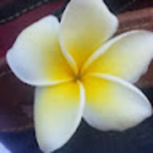 Meet your Posher, Miss